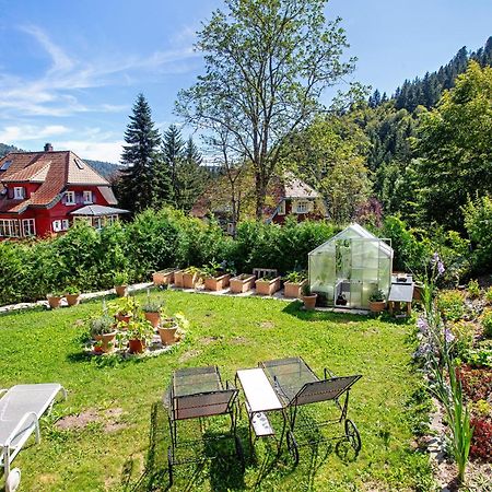 Villa Sonnenwinkel Todtmoos Dış mekan fotoğraf