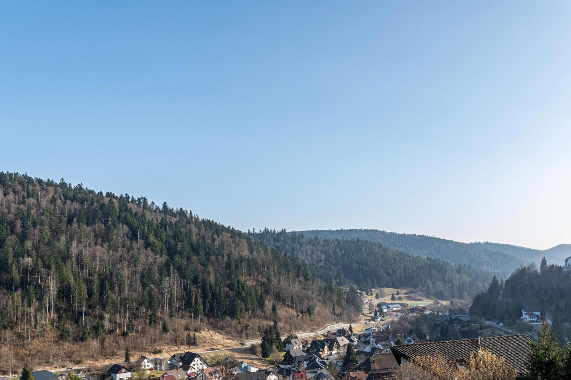 Villa Sonnenwinkel Todtmoos Dış mekan fotoğraf