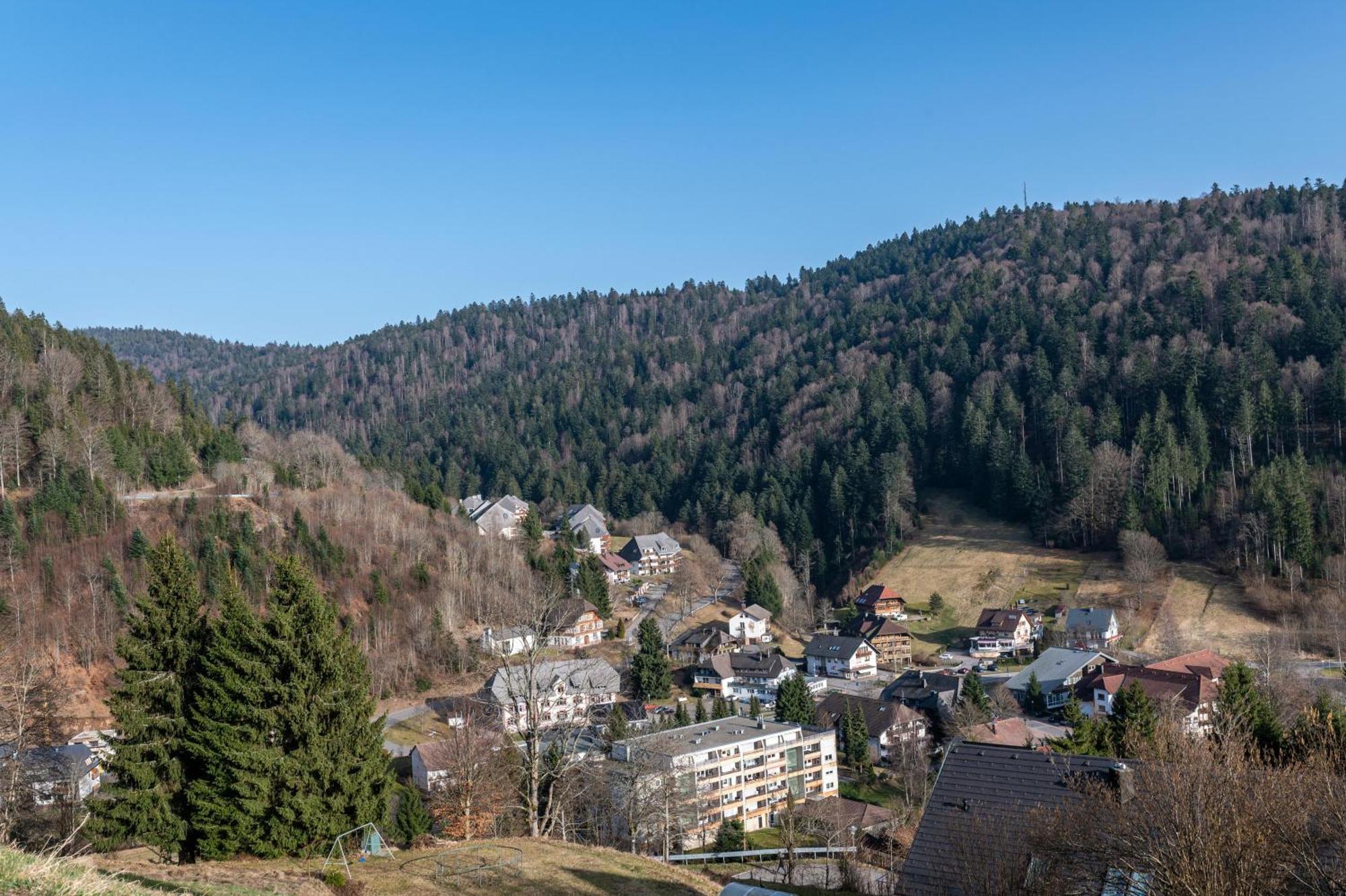 Villa Sonnenwinkel Todtmoos Dış mekan fotoğraf